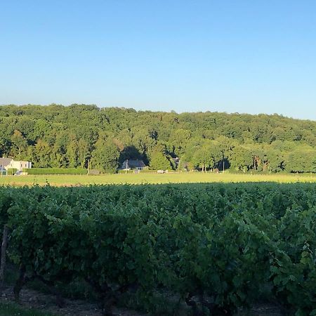 Gite De La Fontaine Bondree Vernou-sur-Brenne Esterno foto