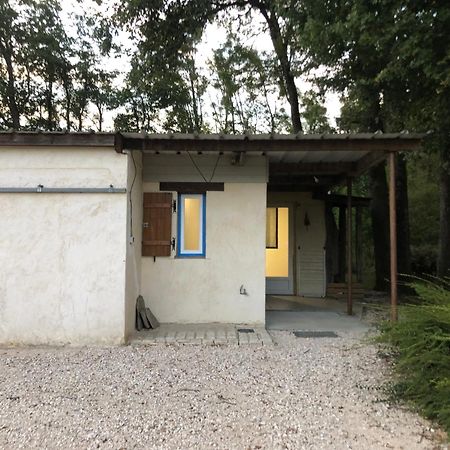 Gite De La Fontaine Bondree Vernou-sur-Brenne Esterno foto
